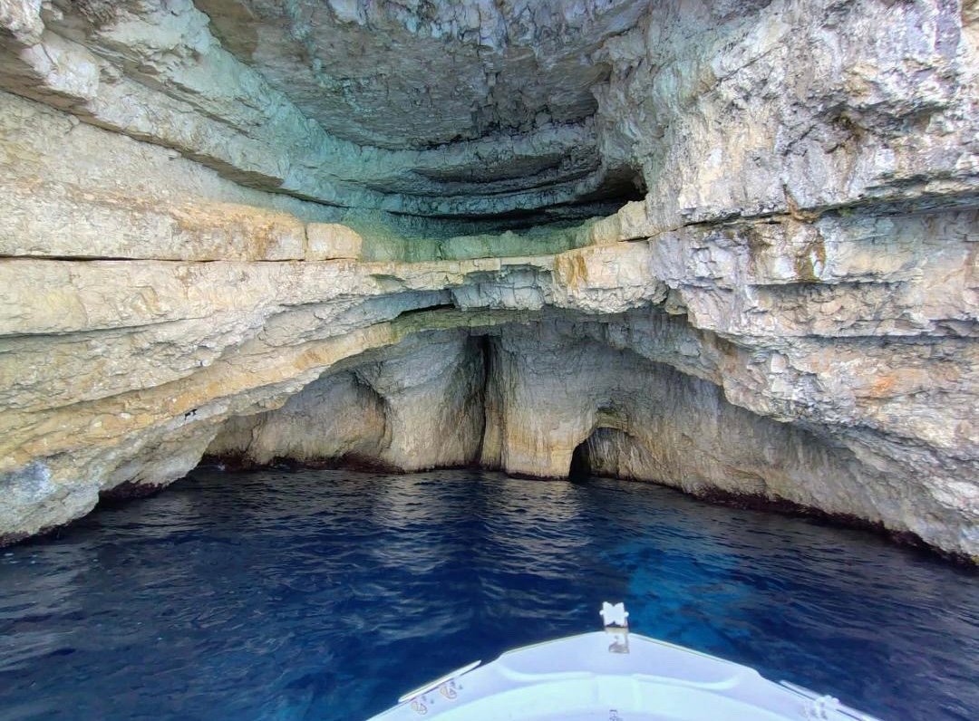 Sea Pulse experience Zakynthos